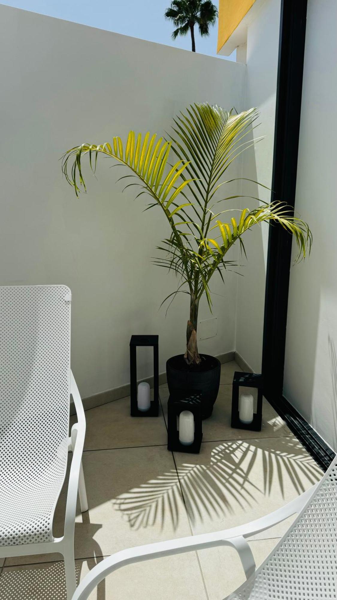 Bungalow Siena Center Playa Del Ingles Μασπαλόμας Εξωτερικό φωτογραφία